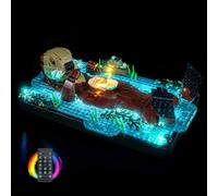 LocoLee RC LED Light Set Compatible with LEGO 21366 Floating Sea Otters LED Decoration Lighting Kit Compatible with LEGO Ideas 21366 Building Blocks Model Lighting Kit Only, Model Not Included