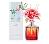 L'odeur Vill Reed Diffuser Set, 250ml Luxury Home Fragrance Diffuser with 10 Fiber Sticks, Long Lasting Scented Aromatherapy for Bedroom Bathroom Living Room Office, (Jasmine Lily)