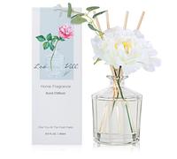 L'odeur Vill Reed Diffuser Set, Moroccan Amber Home Fragrance, 8.5 Oz(250ml) Reed Diffuser with 10 Sticks, for Bathroom & Living Room Decor