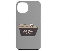 Lodi Point State Park New York Welcome Sign Vacation Case for iPhone 13
