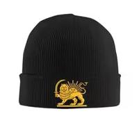 LODMLOER Persian Flag Knit Beanie - Unisex Winter Cuffed Beanie Hat Stretchy Soft Sun Lion Sickle Cuffed Plain Hat Lightweight Winter Knit Caps for Men Women Black
