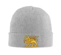 LODMLOER Persian Flag Knit Beanie - Unisex Winter Cuffed Beanie Hat Stretchy Soft Sun Lion Sickle Cuffed Plain Hat Lightweight Winter Knit Caps for Men Women Grey