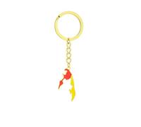 LODMLOER Tamil Eelam Map Flag Pendant Keychains - Vintage Trend Enamel Key Ring Men Women Patriotic Jewelry Fashion Car Key Bag Decor Map Keychain Yellow One Size