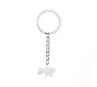 LODMLOER Ukraine Map Pendant Keychain - With Country City Names Keyring Map Keychain, Car Purse Handbag Hanging Ornament Charm For Women Men Keyring Accessories,White,One Size