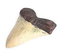 Lodokdre Megalodon Fossil Tooth Megalodon Tooth Resin Replica