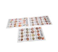 LOEFLIFA 3pcs Diabetes Food List Meal Planner Chart Set for Pre-diabetes and Diabetic Diets Nutritionist-designed Grocery Guide with Daily Meal Plan Posters for Healthy Blood Sugar