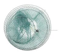 LOEFLIFA Foldable Fishing Net Basket 5-Layer Small Mesh Cage for Crab Shrimp Fish Catching Outdoor Portable Fishing Equipment Accessory Hanging Float