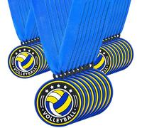 Loetere 24 Pcs Basketball Baseball Softball Award Medals Bulk 2 Inch Rubber Soccer Volleyball Medals Trophies with Ribbons for Winner or Team Participation Gift(Volleyball)