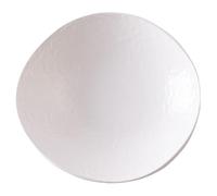 loeusjfnr Pasta Plates Creative Ceramic Plate, Home Japanese Salad, Hotel Restaurant Fruit Bowl(L)