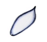 loeusjfnr Pasta Plates Creative Porcelain Plates Sushi Plate Dumpling Ceramic Simple Snack Restaurant