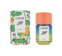 Loewe 385-75916 Fragrance Paula's Ibiza Eclectic EDT Spray 100 ml for Adults, Ideal for Long-Lasting Everyday Fragrance wear, 100 ml