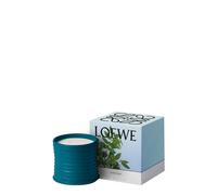 Loewe Incense Candle - Medium 610g, Candle, Mid-intensity Fragrance, Balsamic, Woody Scent, Sweet, Fresh Notes, Medium, 610g