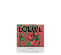 Loewe Tomato Leaves Candle - Small 170g, Candle, High-intensity Fragrance, Green Scent That Evokes the Fresh, Verdant Aroma of the Vines