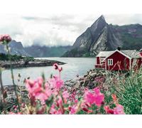 Lofoten - Norway