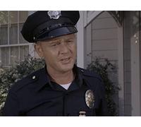 Log 11: It's Just a Little Dent, Isn't It?