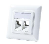 Logilink Professional Keystone NK4020 Flush-Mounted Box for 2 Keystone Sockets/Modules with 45° Outlet