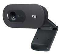 Logitech C505 HD Webcam