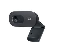 Logitech C505 HD Webcam