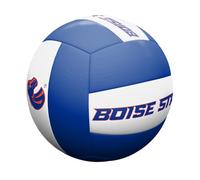 Logo Brands NCAA Official Size Volleyball | Recreational Volleyball, Officially Licensed Team Logos, White Panel Design, Synthetic Leather Cover