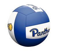 Logo Brands NCAA Official Size Volleyball | Recreational Volleyball, Officially Licensed Team Logos, White Panel Design, Synthetic Leather Cover