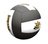 Logo Brands NCAA Official Size Volleyball | Recreational Volleyball, Officially Licensed Team Logos, White Panel Design, Synthetic Leather Cover