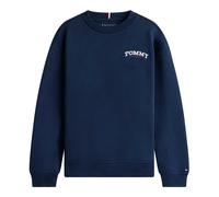 Logo Embroidery Terry Crew Neck Sweatshirt- male- Tommy Hilfiger- Kids Sweatshirts- Blue- 2 Y- Kids 2 Y