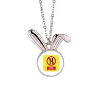 Logo No Eating Art Deco Fashion Rabbit Necklace Pendant Bunny Animal Jewelry Gift