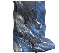 LOGOVISION Batman Throwing Fists Silky Touch Super Soft Throw Blanket 36"x58"