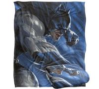 LOGOVISION Batman Throwing Fists Silky Touch Super Soft Throw Blanket 50"x60"