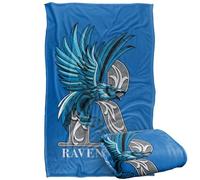 LOGOVISION Harry Potter Mosaic Ravenclaw with Eagle Silky Touch Super Soft Throw Blanket 36"x58"