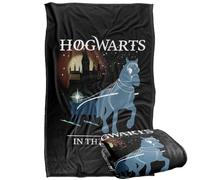 LOGOVISION Kids Harry Potter Hogwarts Christmas in The Snow Silky Touch Super Soft Throw Blanket 36"x58"