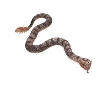 Lohoee Rubber Snakes Fake Snake Lifelike Rubbe Snake - Keep Birds Away for Garden Scare Birds Prank April Fools' Day or Halloween Decoration Props (Style 3)