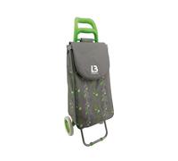 LOIBUYZ Shopping Trolley on Wheels - 45L Collapsible Lightweight Shopping Trolley - Large Folding 2 Wheels Push/Pull Shopping Cart for Easy Storage (Green Leaves)