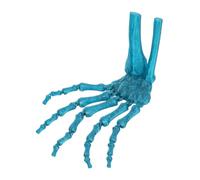Loinutdbv 3D Printed Skeleton Hand, Plastic Articulated Fingers Model, Peacock Green Scary Witch Ghost Prop with Movable Joints for All Hallows Day Haunted House Cosplay Decor