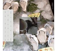 Loke Rahbek & Frederik Valentin - Buy Corals Online