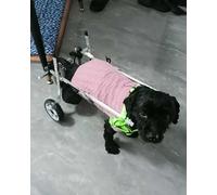 LOKLNEYK 2 Wheels Dog Cart Wheelchairs, Pet Doggie Assisted Walking Device for Paralyzed Hind Limbs, Metal Cat Mobility Aids(Size L)