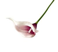 LOKLNEYK Mini Calla Lily Artificial Flowers, 10 Pack, Wedding Bouquet (11 Colors, Home Decor And Photography Props, Suitable For Living Room/Bedroom, Etc.)(Purple and white core)