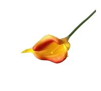 LOKLNEYK Mini Calla Lily Artificial Flowers, 10 Pack, Wedding Bouquet (11 Colors, Home Decor And Photography Props, Suitable For Living Room/Bedroom, Etc.)(Sunset Red)