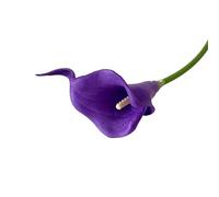 LOKLNEYK Mini Calla Lily Artificial Flowers, 10 Pack, Wedding Bouquet (11 Colors, Home Decor And Photography Props, Suitable For Living Room/Bedroom, Etc.)(Deep Purple White Core)