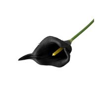 LOKLNEYK Mini Calla Lily Artificial Flowers, 10 Pack, Wedding Bouquet (11 Colors, Home Decor And Photography Props, Suitable For Living Room/Bedroom, Etc.)(Black)