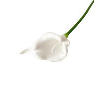 LOKLNEYK Mini Calla Lily Artificial Flowers, 10 Pack, Wedding Bouquet (11 Colors, Home Decor And Photography Props, Suitable For Living Room/Bedroom, Etc.)(White)