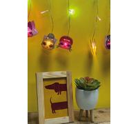 LOL Curtain String Lights - LED Fizz Creations Multi One Size