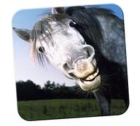 LOL Funny Laughing Horse Coaster/Pack of Coasters