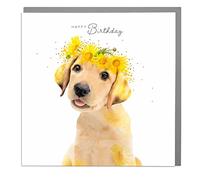 Lola Design - Birthday Cards for Women - Blank Card and Envelope - Labrador Puppy - Happy Birthday Card