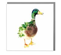 Lola Design - Wildlife Botanical Greeting Cards, Mallard Duck Design - Suitable for Birthdays, Congratulations or Any Special Occasions - Blank Inside with Grey Envelope - 150mm x 150mm