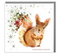Lola Design - Wildlife Wonderful Christmas Cards - Blank Cards and Envelopes - Red Squirrel