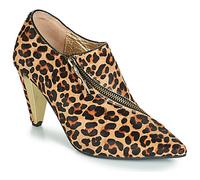 Lola Ramona Low Ankle Boots RAMONA in Brown 4