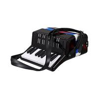 LOLIPPYY 1pc Lovely Accordion Musical Instrument Lightweight Educational Plaything for Early Learning Adorable Miniature Design Sound Easy to Play for Boys and Girls