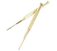 LOLIPPYY 2Pcs Acupressure Ear Point Probe Pen with Built in Spring Solid Copper Body Massage Tool for Precise Acupuncture Point Search and Facial Therapy