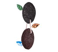 LOLIPPYY 2pcs Natural Pumice Stone for Feet Exfoliation Callus Remover for Soft Skin Dead Skin Remover for Heels and Random Color
